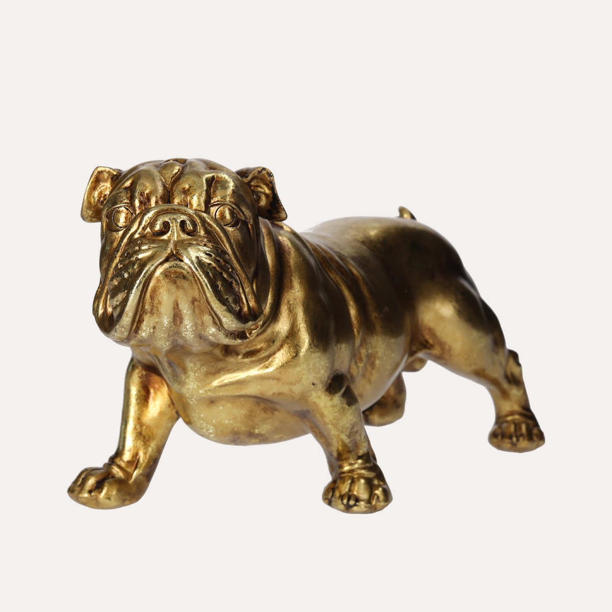 Scultura Bulldog in Resina Oro H.19x35x15 cm