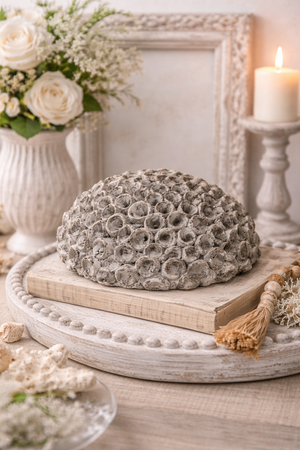 Decorative Coral in Small Gray Resin
