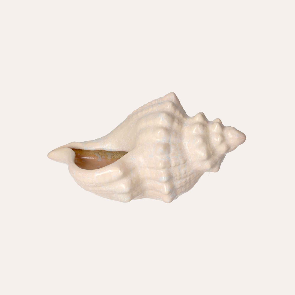 Adorno marino de cerámica de concha decorativa blanca brillante