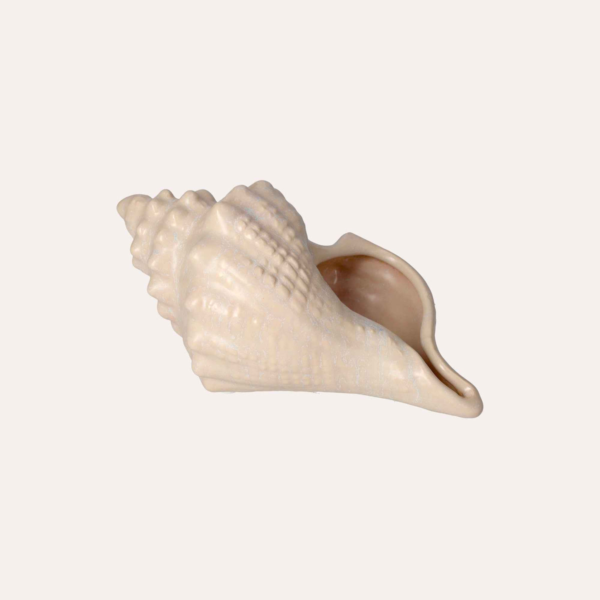 Adorno marino de cerámica de concha decorativa blanca brillante