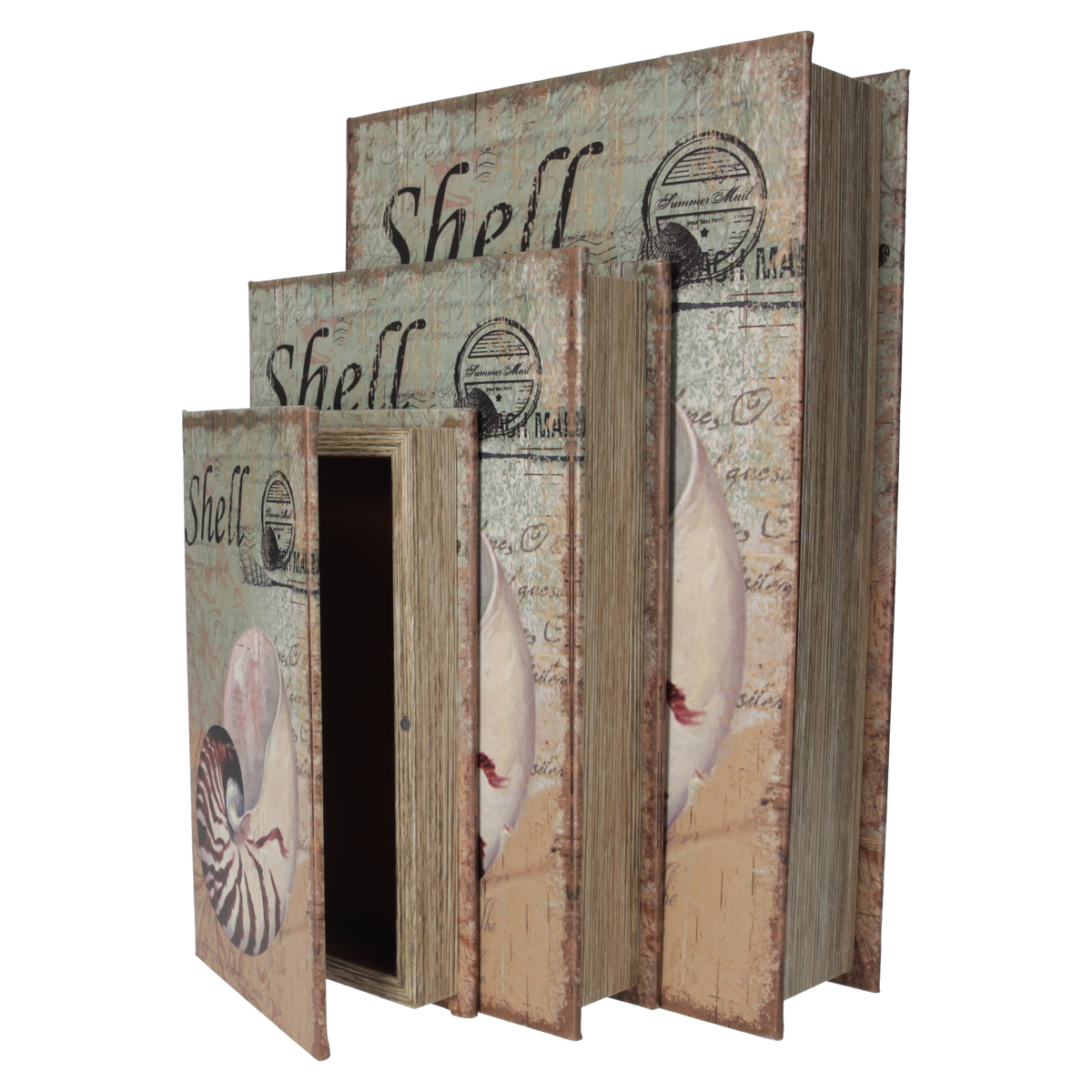 Trío de Cajas para Libros con Diseño de Concha