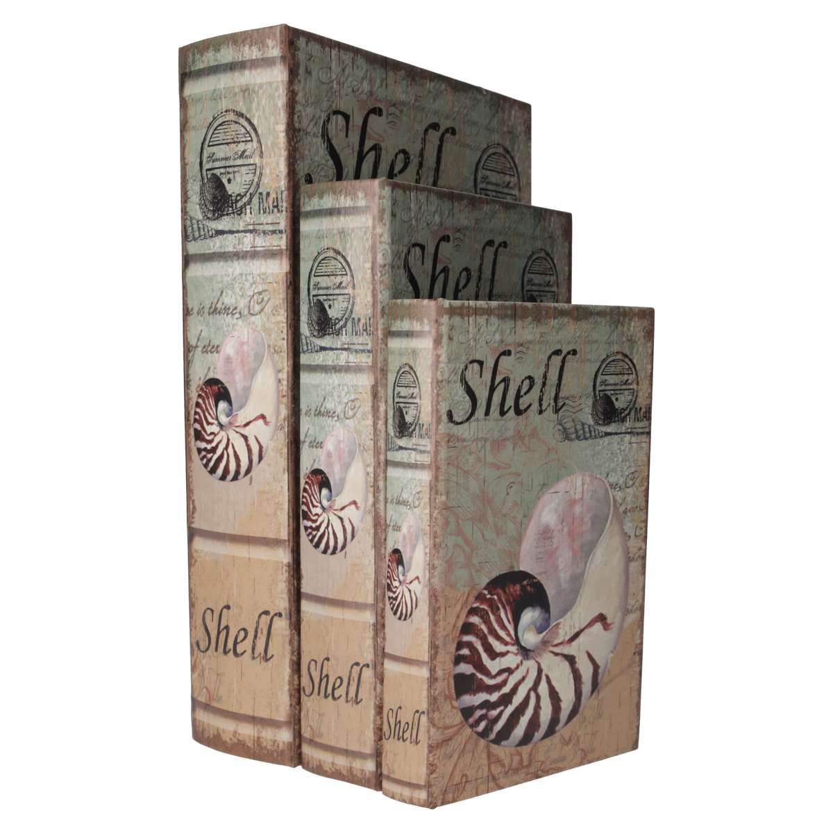 Trío de Cajas para Libros con Diseño de Concha