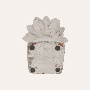 Capullo Decorativo Mediano con Base Cuadrada de Resina Al.30x20 cm - Estilo Shabby Chic
