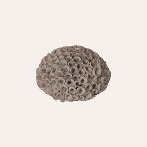 Large Gray Resin Decorative Coral