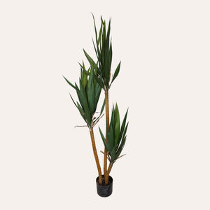 Artificial Yucca Plant 150cm High for Indoors and Outdoors