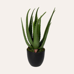 Artificial Aloe Vera Plant 40cm High with Pot