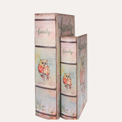 Par de Caixas Livro Coruja em MDF